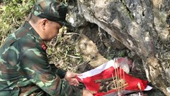Tìm cho bằng được dù chỉ là mẩu xương hay cái cúc áo