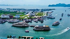 Kỳ 1 - Kỳ vọng từ những đột phá