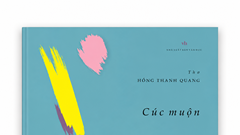 “Cúc muộn” và điều còn lại