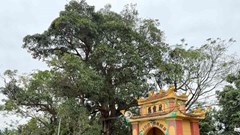 Kỳ cuối - Vĩ thanh trên vùng đất địa linh nhân kiệt