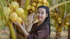 Bến Tre phát động cuộc thi video clip và ảnh đẹp du lịch “Tôi yêu xứ Dừa”