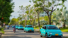 GSM triển khai chương trình “Mùa hè Xanh vì Tương lai xanh“