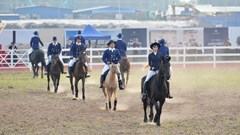 Trải nghiệm chất sống quý tộc với Học viện Cưỡi ngựa đầu tiên và duy nhất tại Việt Nam 