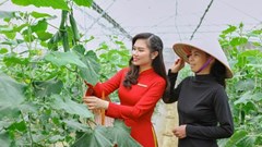 Cam kết và thực trạng triển khai ESG tại Agribank