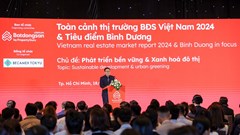 Toàn cảnh thị trường bất động sản Việt Nam 2024 và tiêu điểm Bình Dương