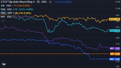 5 cổ phiếu bị HOSE đưa vào vào diện kiểm soát, hạn chế giao dịch