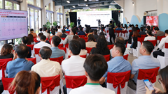 Thị trường bất động sản Việt Nam: Dấu hiệu hồi phục sau giai đoạn biến động