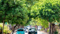 Từ bỏ xe xăng dầu, sử dụng xe điện – liều thuốc “chữa bệnh” cho bầu không khí ở các đô thị lớn