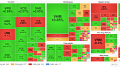 Chứng khoán phiên 31.10: VN-Index hồi phục gần 6 điểm