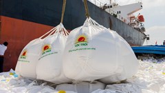 Tập đoàn Lộc Trời có kế toán trưởng mới