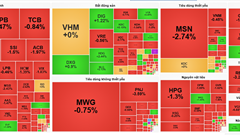 Chứng khoán phiên 1.11: Sắc đỏ bao trùm, chỉ số VN-Index giảm gần 10 điểm