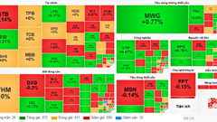 Chứng khoán phiên 5.11: VN-Index phục hồi nhưng thanh khoản vẫn ảm đạm