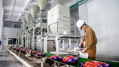 Hoá chất Đức Giang (DGC) sắp tạm ứng cổ tức với tỉ lệ 30%