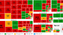 Kinh tế Chứng khoán phiên 8.11: Khối ngoại bán tháo, VN-Index hơn 7 điểm