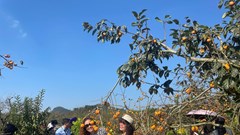 Thác mây, vườn hồng đậm vị cao nguyên