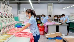 May Sông Hồng (MSH) sắp tạm ứng cổ tức bằng tiền với tỉ lệ 35%