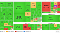 Chứng khoán phiên 20.11: VN-Index bật tăng hơn 11 điểm