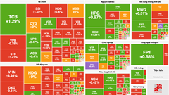 Chứng khoán phiên 22.11: VN-Index giảm nhẹ sau 2 phiên tăng điểm