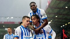Nhận định trận đấu Brighton vs Southampton, 3h00 ngày 30.11: Mòng biển bay cao