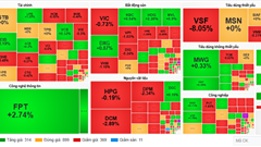 Chứng khoán phiên 28.11: VN-Index tăng hơn 8 điểm rồi hạ độ cao