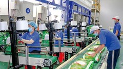 Trung An (TAR) quyết định giải thể 2 công ty con