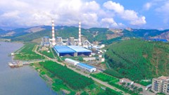 Nhiệt điện Quảng Ninh (QTP) chi 450 tỉ đồng tạm ứng cổ tức, tỉ lệ 10%