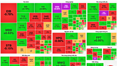 Chứng khoán phiên 20.12: VN-Index phục hồi sau khi giảm mạnh