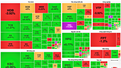 Chứng khoán phiên 8.1: VN-Index hồi phục trở lại mốc 1.250 điểm