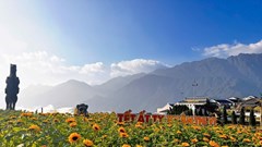 Muôn hoa khoe sắc, Fansipan mùa xuân đẹp tựa miền cổ tích