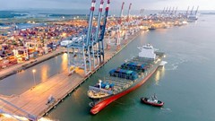 Viconship dự kiến phát hành hơn 14,3 triệu cổ phiếu ESOP