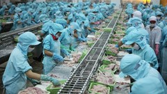 Thuỷ sản Bến Tre (ABT) tạm ứng cổ tức tỉ lệ 30%