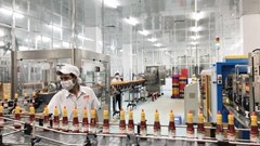 Thực phẩm Cholimex (CMF) tiếp tục chia cổ tức 50% bằng tiền