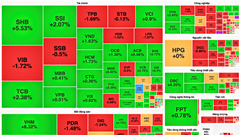 Chứng khoán phiên 24.3: VN-Index tăng hơn 8 điểm nhưng sắc đó vẫn chiếm ưu thế