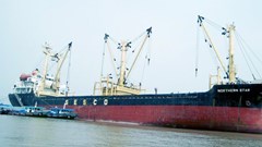 Vận tải biển Hải Âu (SSG) chia cổ tức khủng 120% bằng tiền