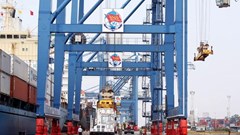 Xếp dỡ Tân Cảng (TCL) chốt quyền nhận cổ tức năm 2024 bằng tiền, tỉ lệ 23,64%