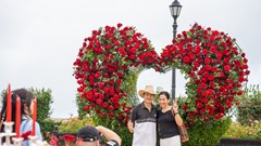 Lạc bước giữa thiên đường hoa hồng tại Sun World Ba Na Hills