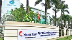 “Vua tôm” Minh Phú (MPC) đặt mục tiêu có lãi 997 tỉ đồng trong năm 2025