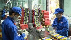 Pin Hà Nội (PHN) sắp tạm ứng cổ tức bằng tiền, tỉ lệ 20%