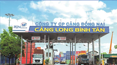 Cảng Đồng Nai (PDN) chia cổ tức 25% bằng tiền
