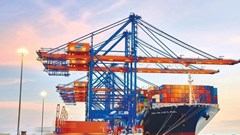 Gemadept (GMD) dự kiến chi hơn 840 tỉ đồng để trả cổ tức