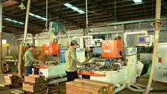 Phú Tài (PTB) chuẩn bị chào bán cổ phiếu huy động vốn