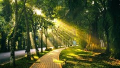 Dự báo thời tiết 21.8: Hà Nội mưa nắng đan xen, Trung Bộ có nơi nắng nóng