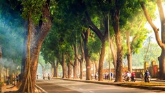 Dự báo thời tiết 3.9: Cả nước chủ yếu nắng, chiều tối nhiều nơi có mưa