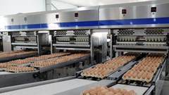 Hòa Phát muốn IPO mảng nông nghiệp