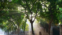 Dự báo thời tiết 4.10: Hà Nội nắng ráo, TP.HCM mưa dông cuối ngày