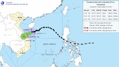 Dự báo thời tiết 22.10: Bão số 12 đổ bộ, gây mưa to đến rất to