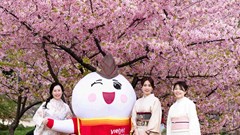 Cùng Vietjet hòa mình vào sắc màu văn hóa Việt Nam tại Nagoya