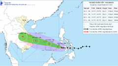 Dự báo thời tiết 5.11: Bão số 13 đi vào biển đông, mạnh cấp 13, giật cấp 16
