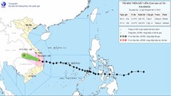 Dự báo thời tiết 7.11: Hoàn lưu bão số 13 gây mưa lớn diện rộng