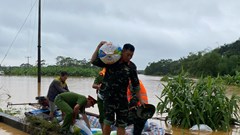 Phú Thọ ban hành chính sách hỗ trợ nông dân khôi phục sản xuất sau thiên tai, dịch hại